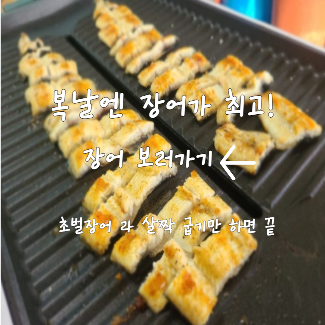 복날장어