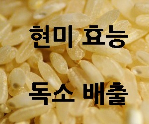 현미 효능
