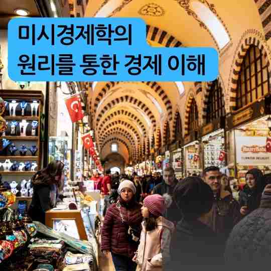 미시경제학의 원리를 통한 경제 이해