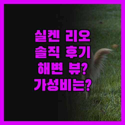실켄 리오 산탄데르, 솔직 후기! 완
