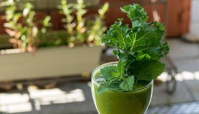 비타민, 항산화제, 섬유질이 풍부한 슈퍼푸드 케일