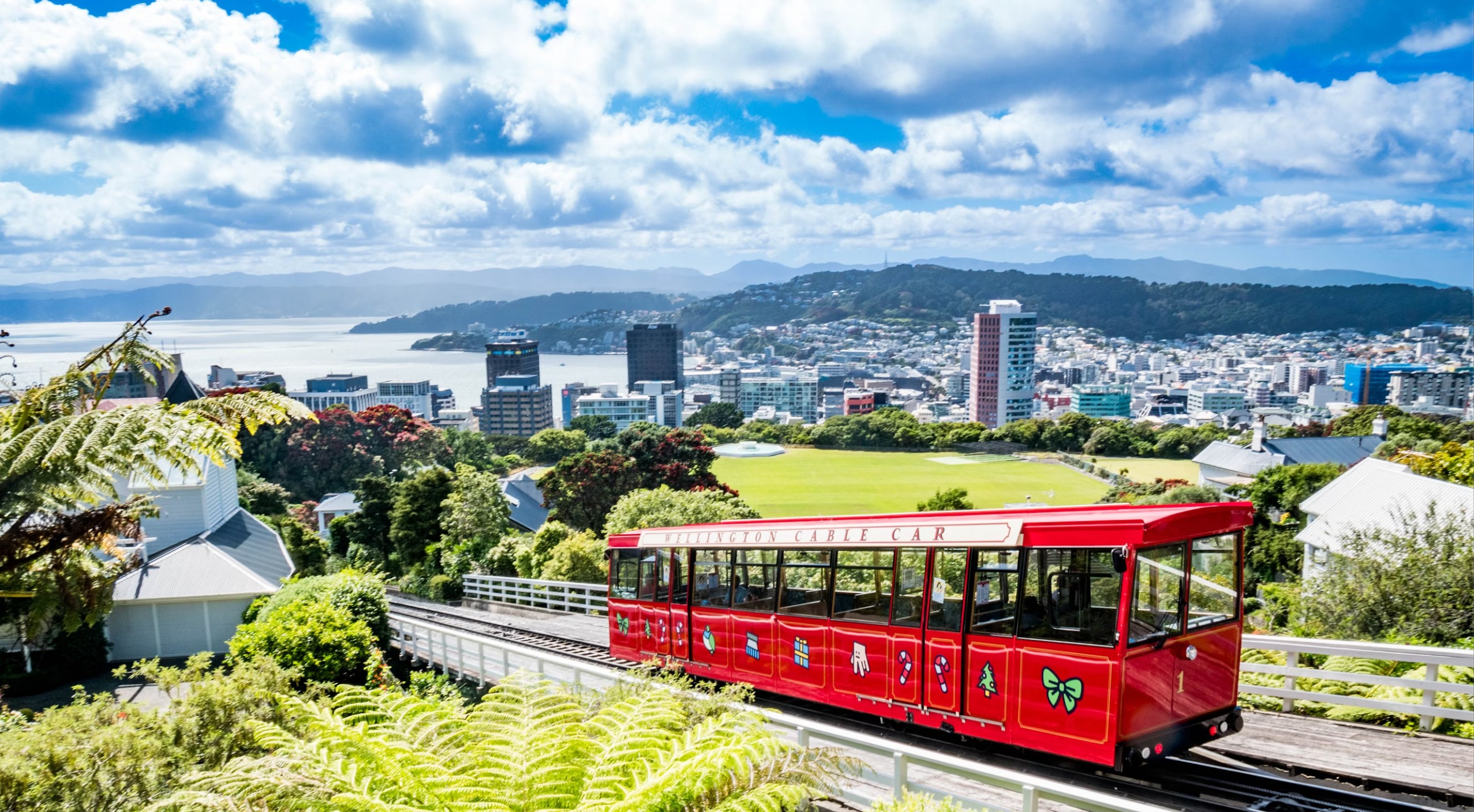 혼행하기-좋은-도시-웰링턴