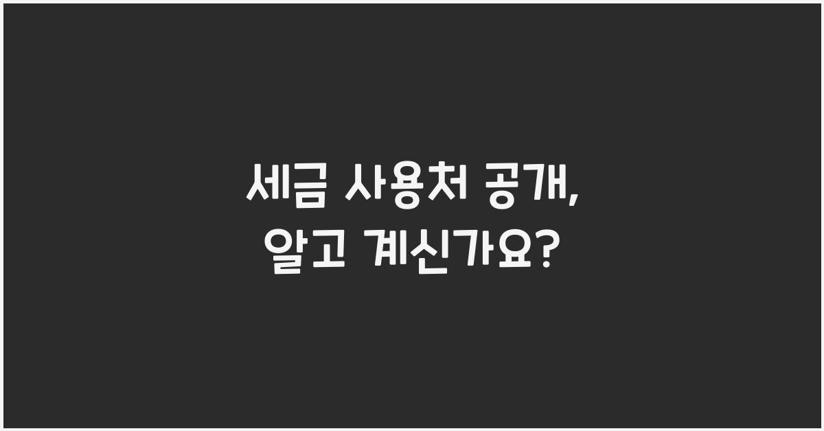 세금 사용처 공개