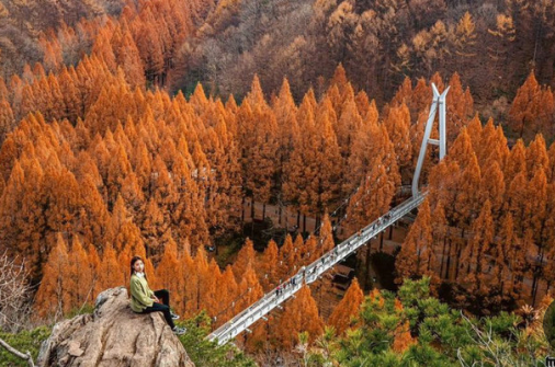 장태산 단풍