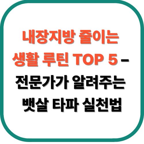 내장지방 줄이는 생활 루틴 TOP 5 &ndash; 전문가가 알려주는 뱃살 타파 실천법