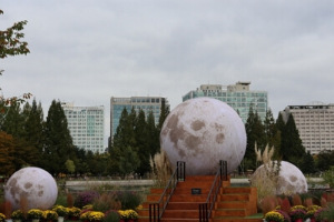 코스모스축제 고양가을꽃축제 예매, 주차장