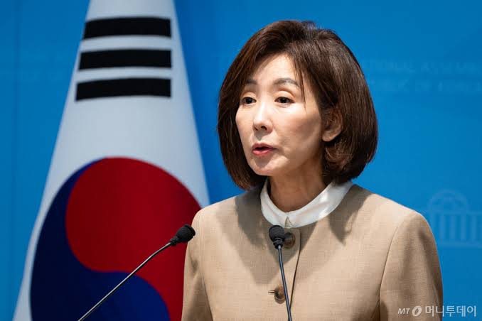 나경원 DMZ 지뢰 결의안 발의