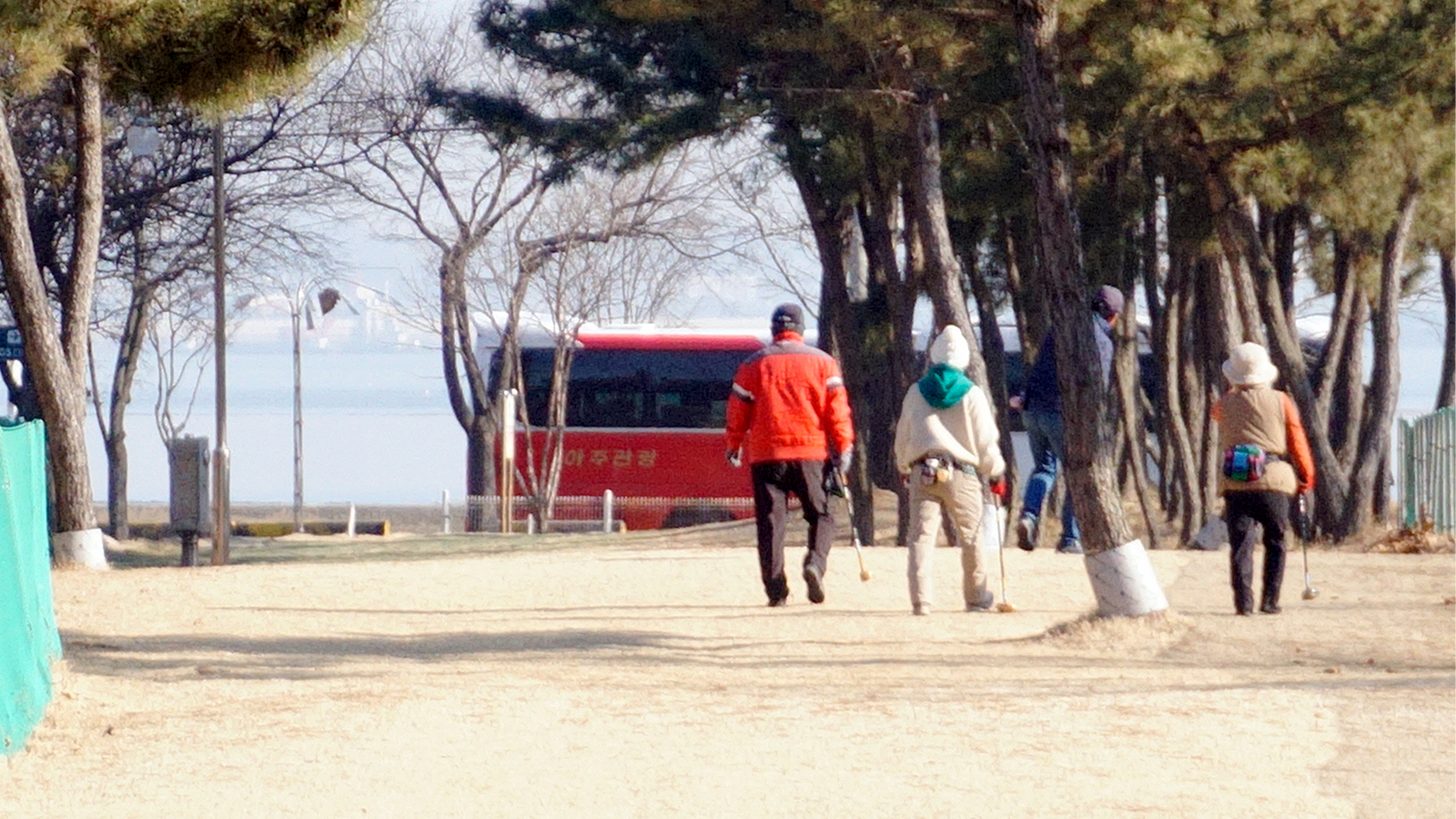 파크골프 입문자를 위한 용어 총정리