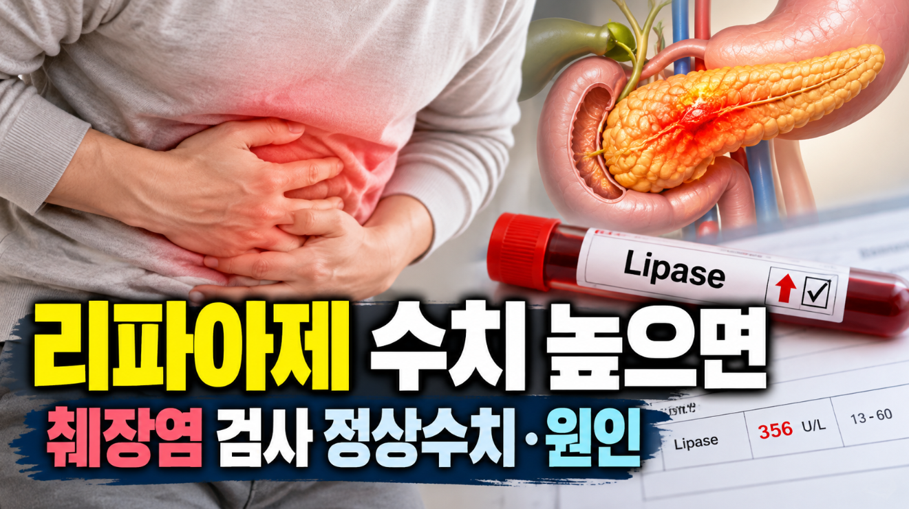 리파아제 수치 높으면｜췌장염 검사 정상수치&middot;원인