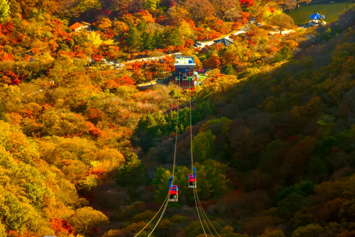 내장산 케이블카