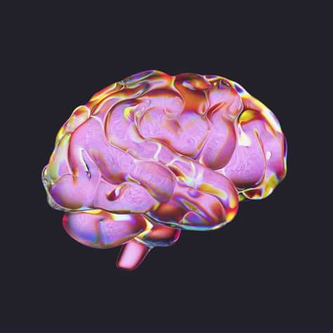 뇌-컴퓨터 인터페이스(BCI)