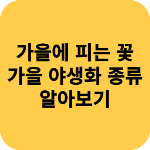 가을에 피는 꽃과 가을 야생화 종류