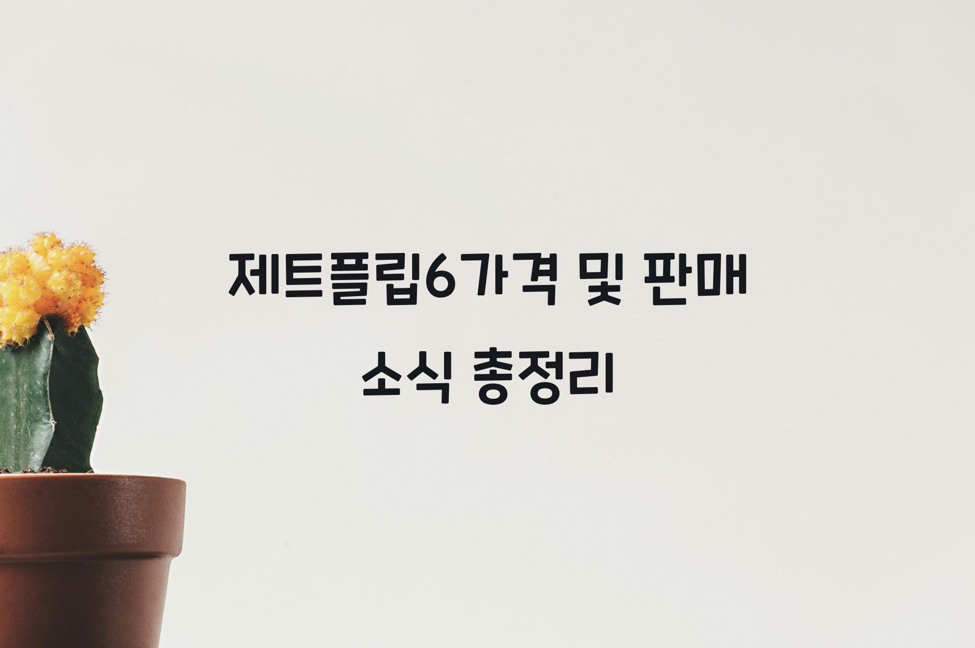 제트플립6가격