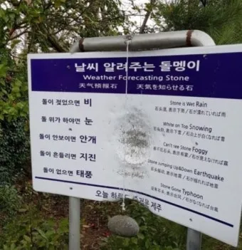 실시간 제주도 제주날씨 주간예보로_23