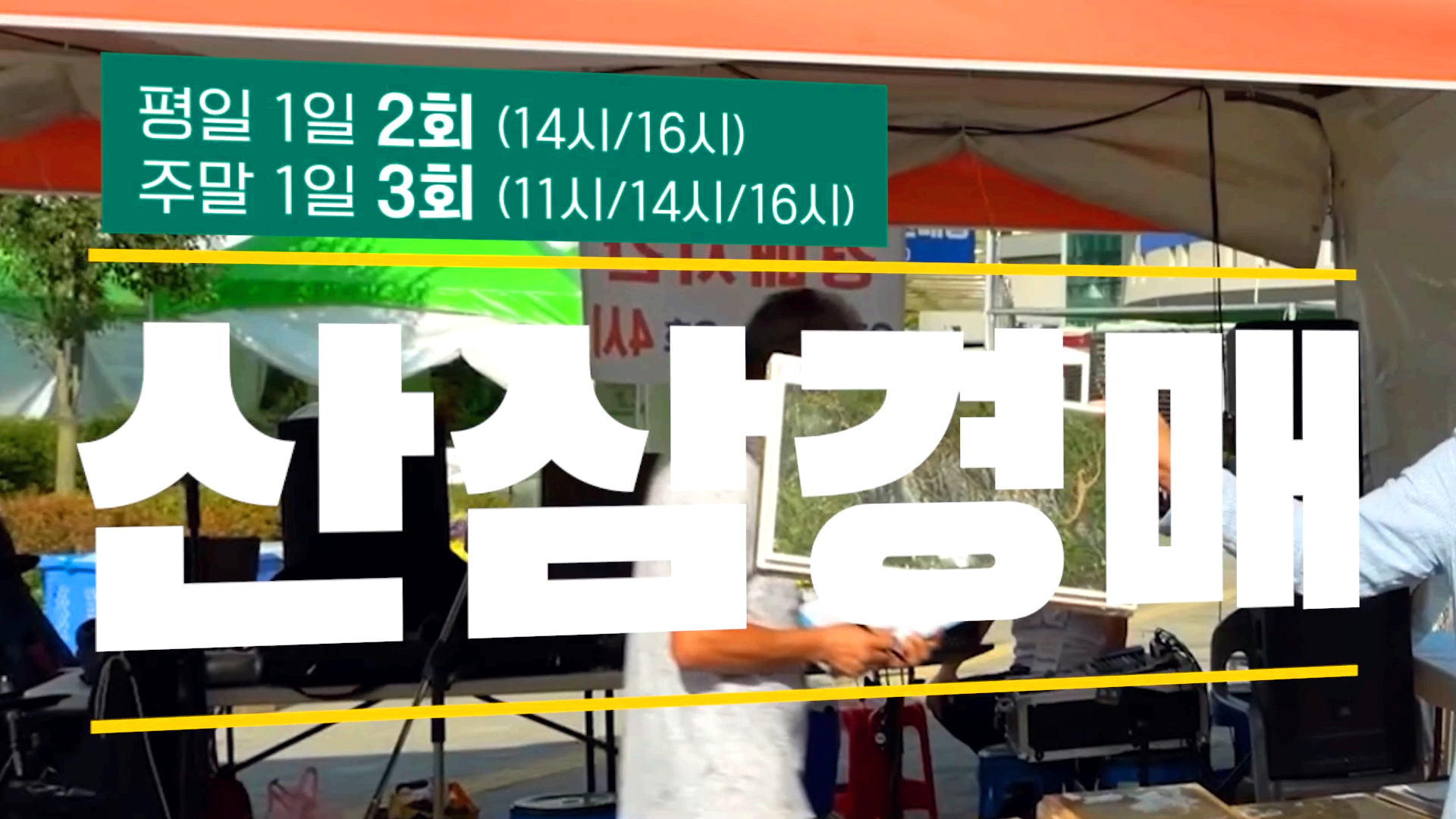 함양산삼축제