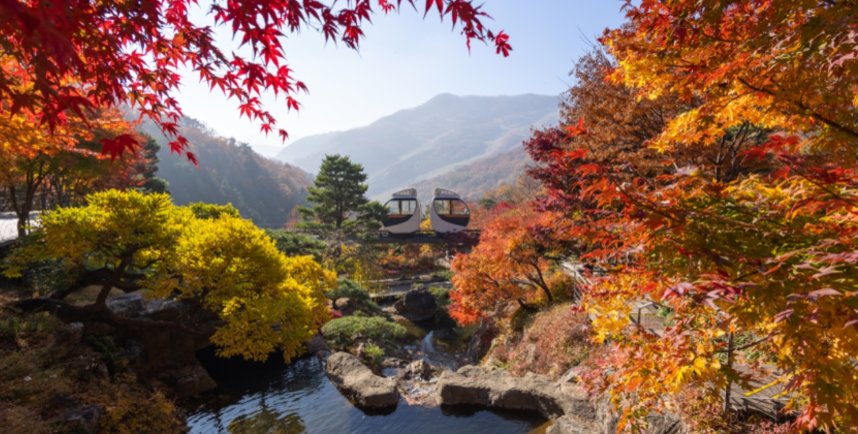화담숲 예약