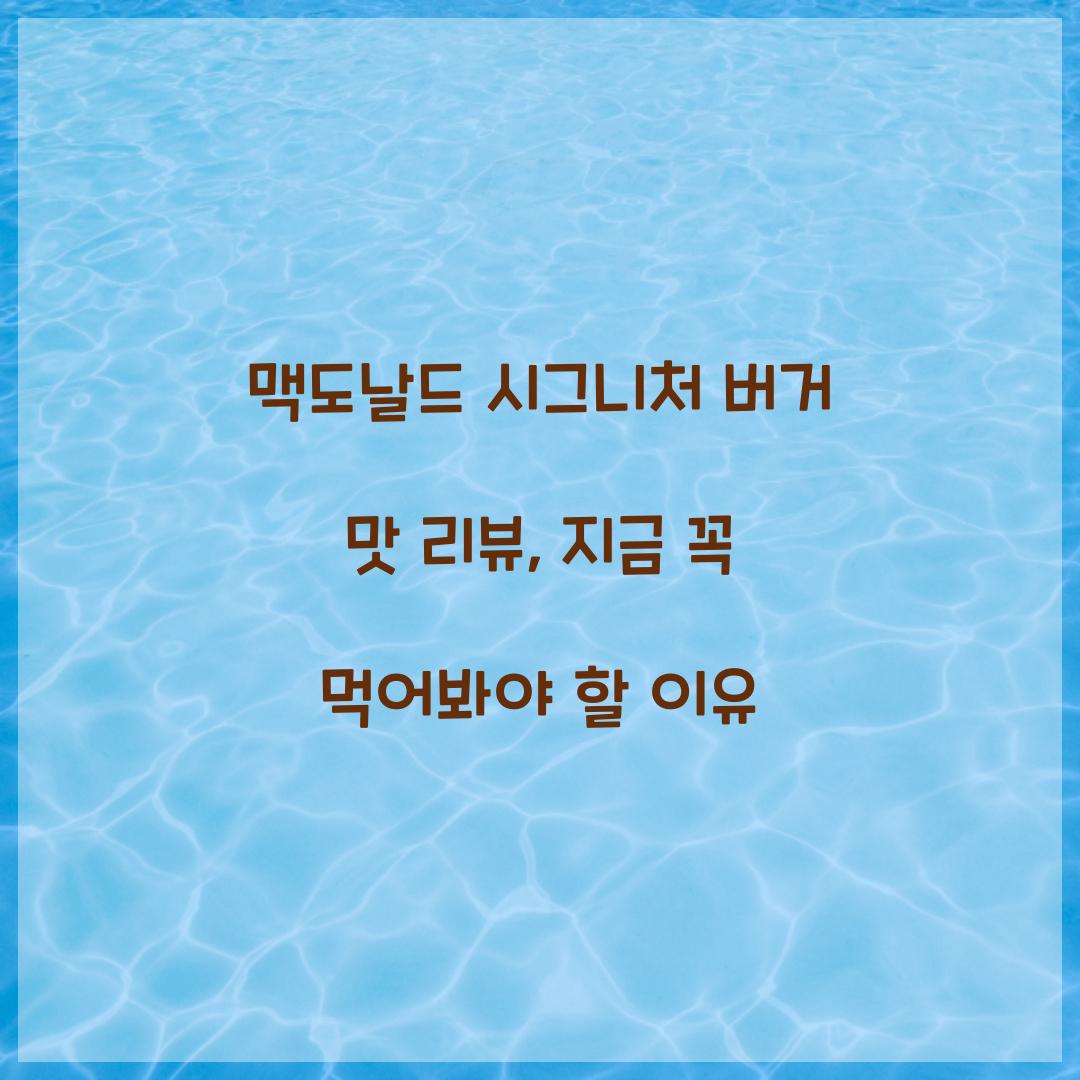 맥도날드 시그니처 버거 맛 리뷰