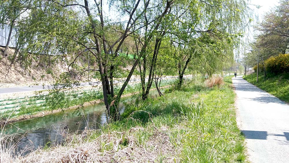 대모산·우면산 : '부모의 마음'