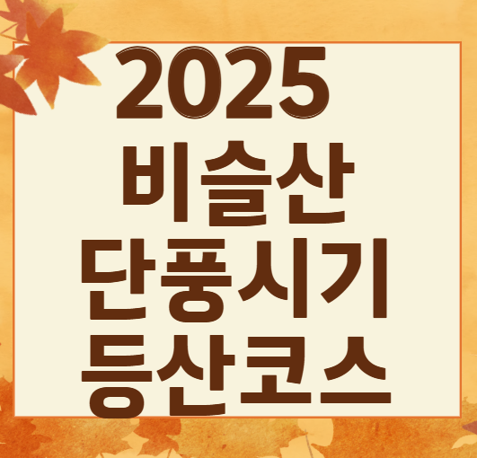 가을 비슬산 2025 단풍 절정 실시간 확인! 꼭 가봐야 할 포토존 + 초보자 코스 추천