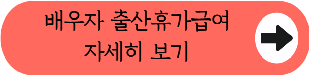 "자영업자 아빠도 출산지원금 꼭 챙기세요!" - 1인 자영업자 배우자 출산휴가급여 120만원 신청방법 총정리 (자격조건, 금액, 필요서류 등)
