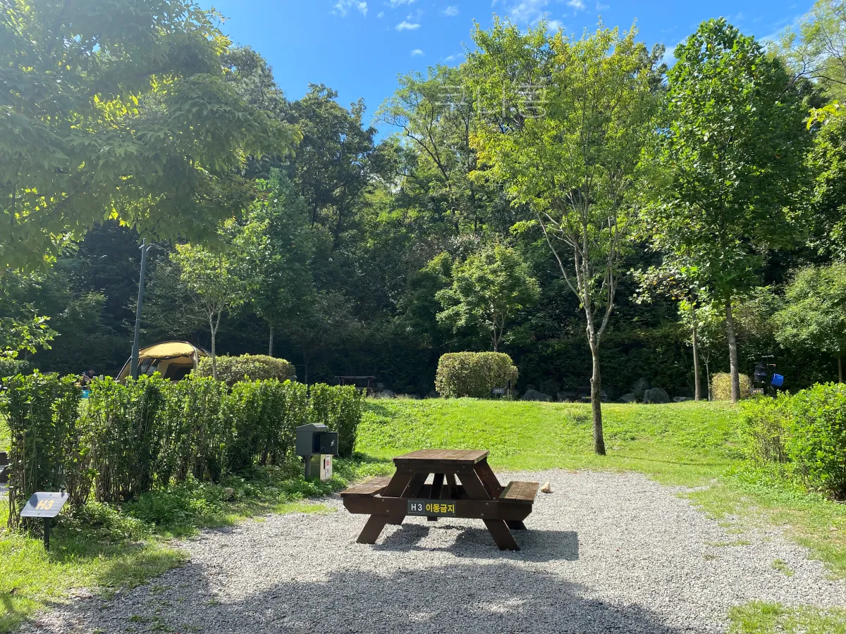 서울근교-당일캠핑-피크닉-가능한-초안산캠핑장-사이트-총정리(주차,통로위치-등)