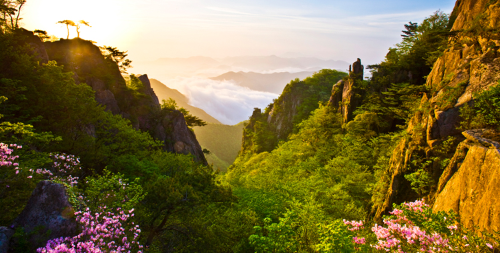 전국 진달래 명소 BEST 5, 영취산&middot;비슬산&middot;천주산&middot;북한산&middot;대둔산 개화시기&middot;코스