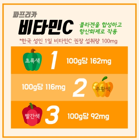 한국인 성인 비타민C 하루 권장량 100mg 공식 자료