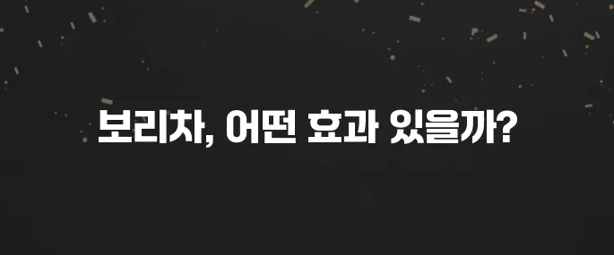 물 대신 마셔도 될까? 보리차 효능 5가지와 부작용