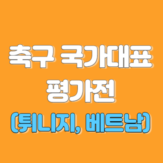 축구 국가대표 평가전