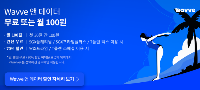 SKT 웨이브 앤 데이터 부가서비스