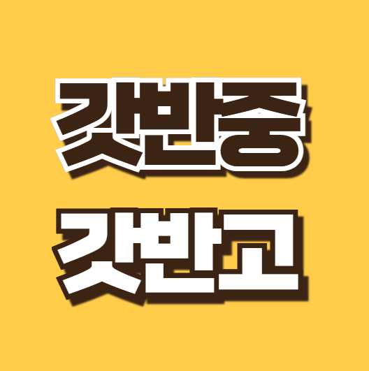 갓반중 뜻 갓반고 인기 이유 정보 서울 강원도 학교 이름 특징 총정리 티처스2