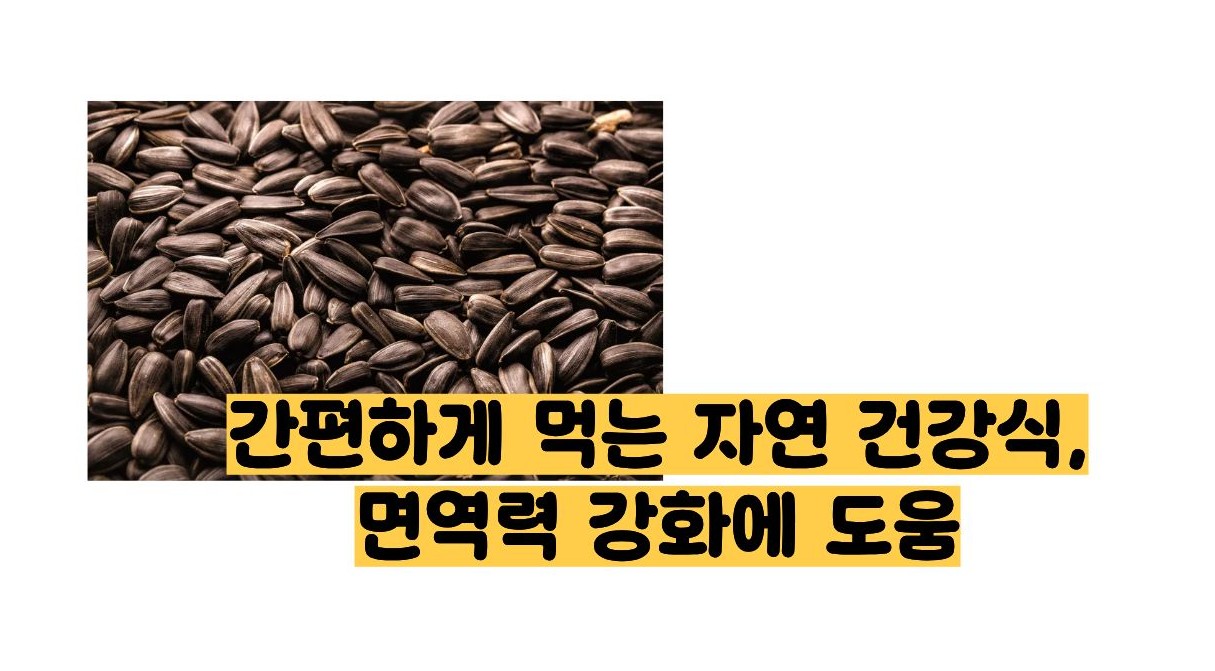 해바라기 씨 효능