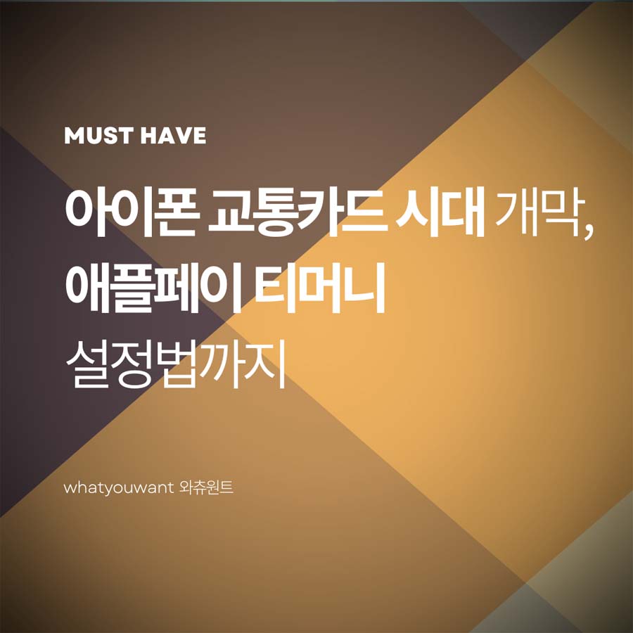 아이폰 교통카드 시대 개막 ❘ 애플페이 티머니 설정법까지