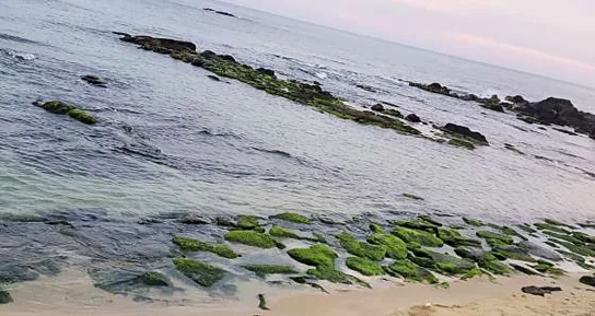 소돌해변