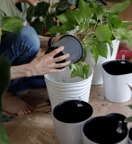 천식 치료법 진단 기준 합병증