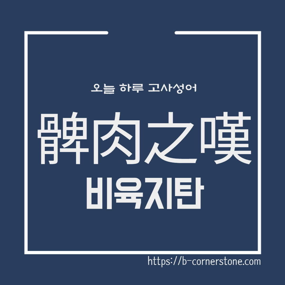 비육지탄 髀肉之歎 고사성어 삼국지 조조 유비