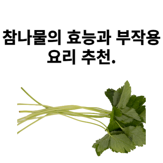 참나물의 효능과 부작용, 요리 추천