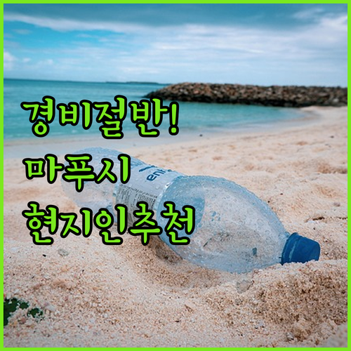 몰디브 여행 경비 절반으로 줄여주는 ..