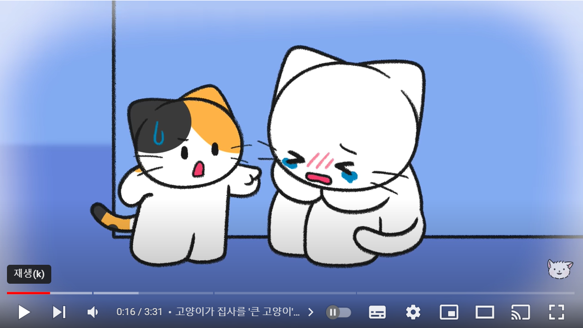 고양이가 집사를 ‘큰 고양이’라고 생각하는 이유 3가지