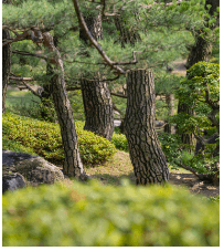화담숲 전경사진