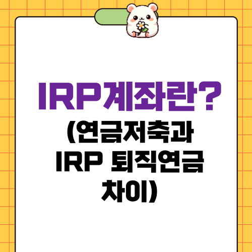 IRP계좌란