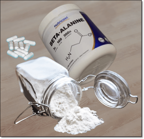 베타 알라닌 보충제