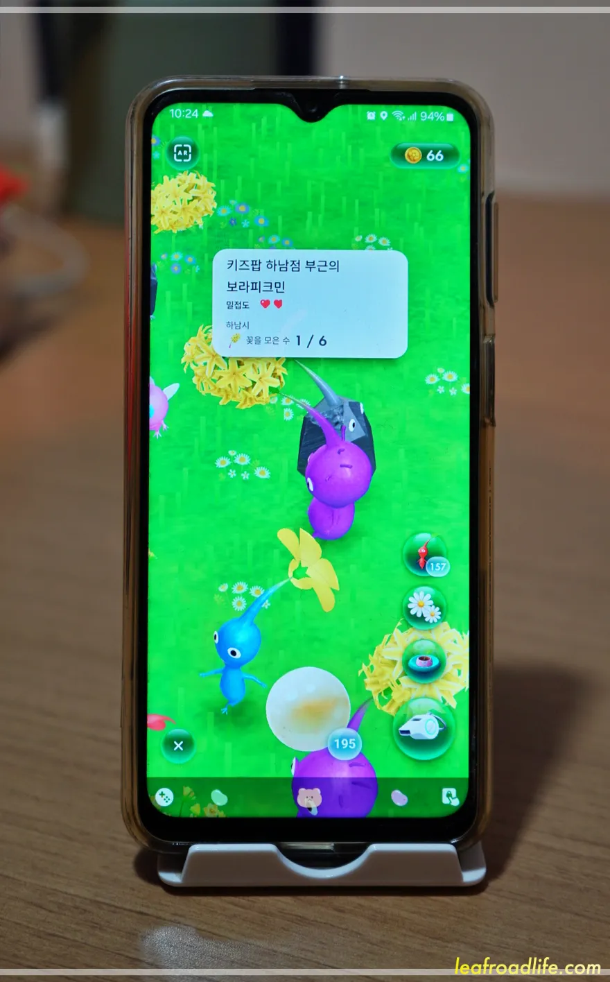 피크민-블룸-딸이-키우는-보라피크민