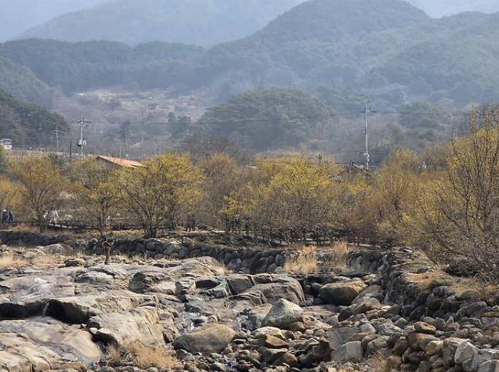 구례 산수유꽃축제 일정
