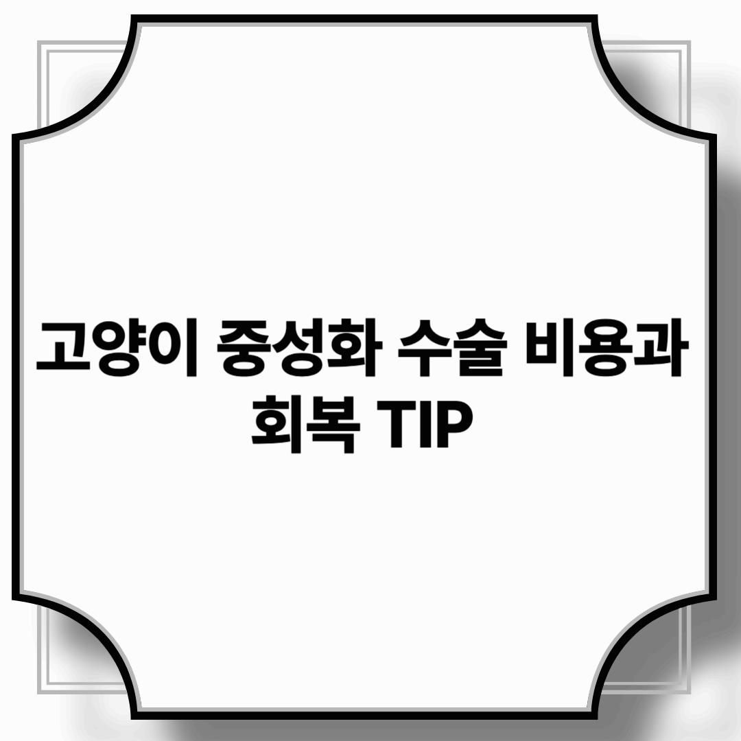 고양이 중성화 수술 비용과 회복 TIP