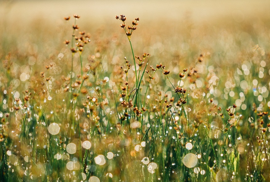 우리는 왜 다른 사람에게 끌릴까? 심리학적 접근