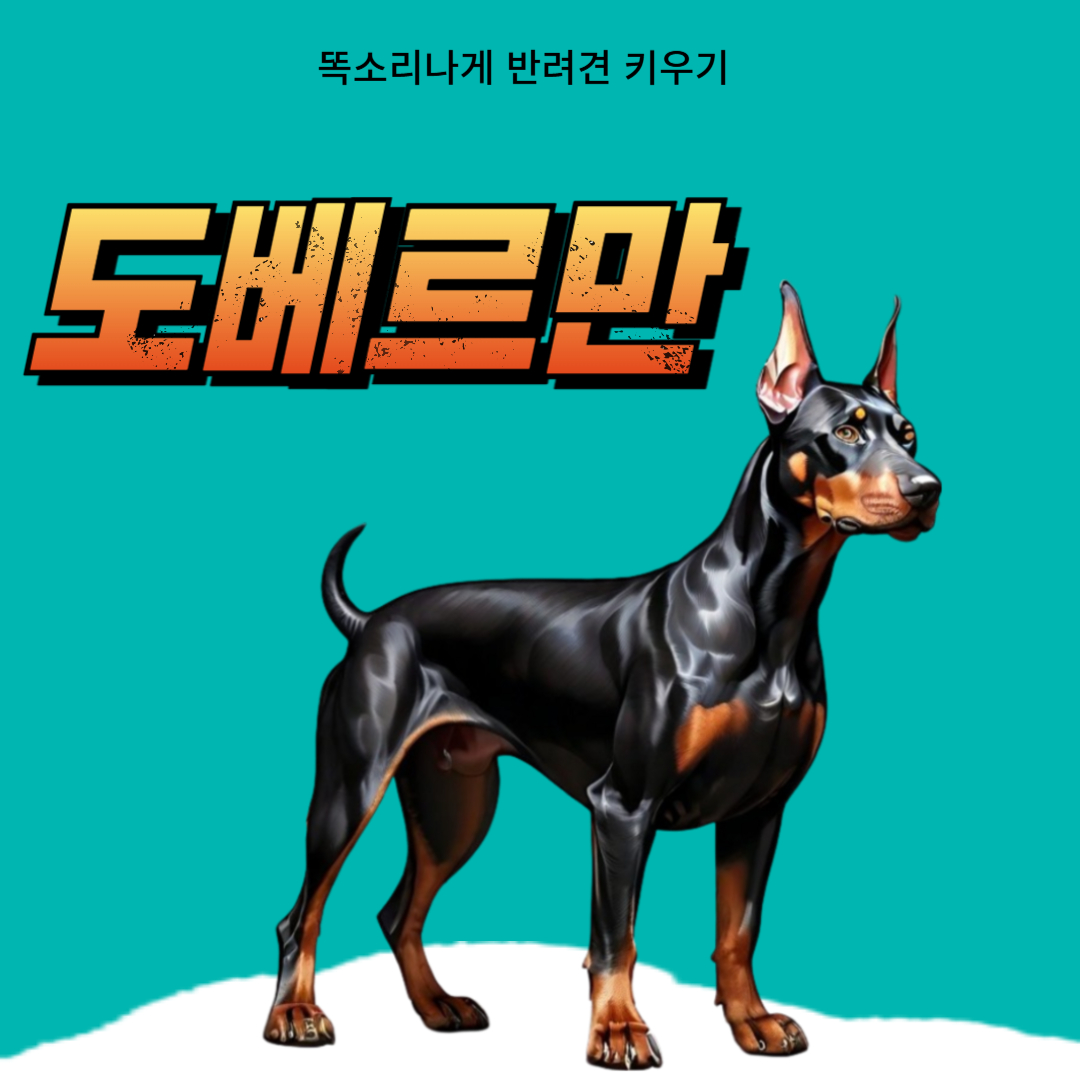도베르만 성격 장단점 유전병