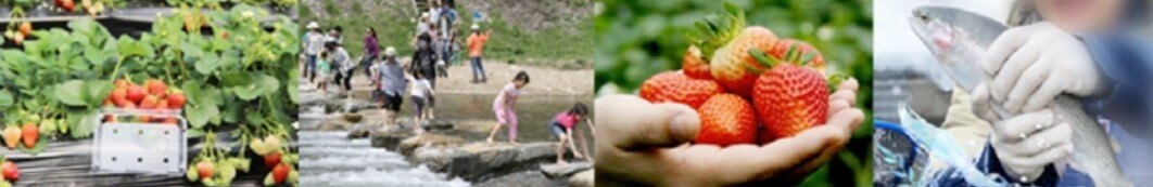 양평딸기송어축제 패키지 프로그램 및 이용요금을 알아봤습니다. 양평은 우리나라에서 물이 맑기로 유명한데 특히 수미마을은 물과 쌀, 365일 축제로 유명합니다. 딸기송어축제는 122일 동안 진행되며 패키지 예약 프로그램도 있으니 참고하시기 바랍니다.