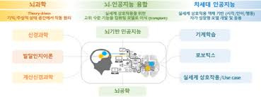 카이스트 뇌과학 융합