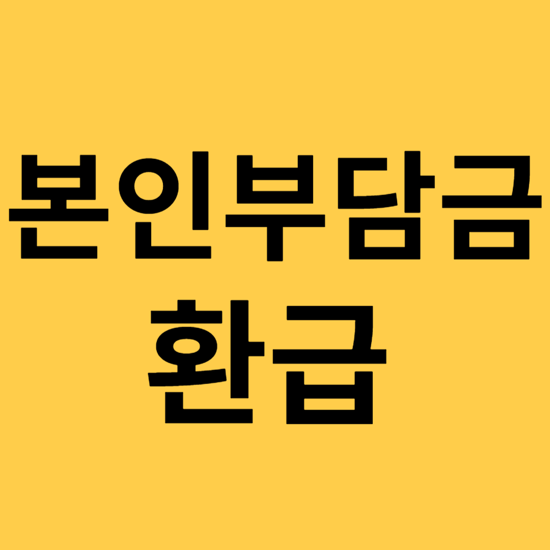 본인 부담금 환급금 나도 받으러 가자!